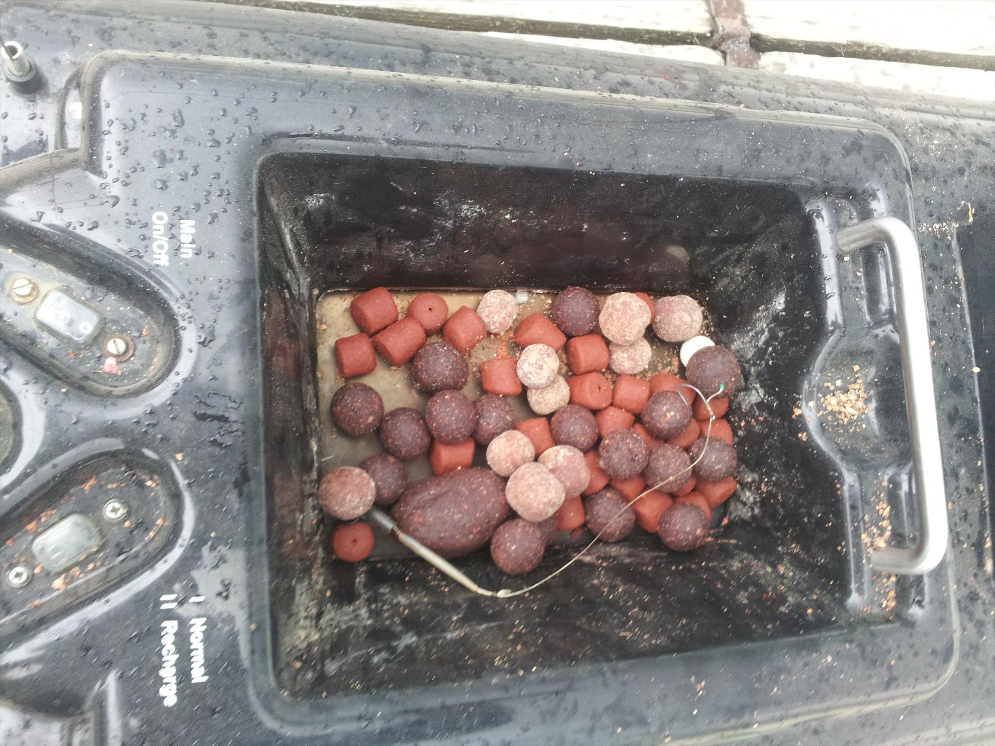 Tancabesti 11 - 12 apr. - 20140519181140.jpg